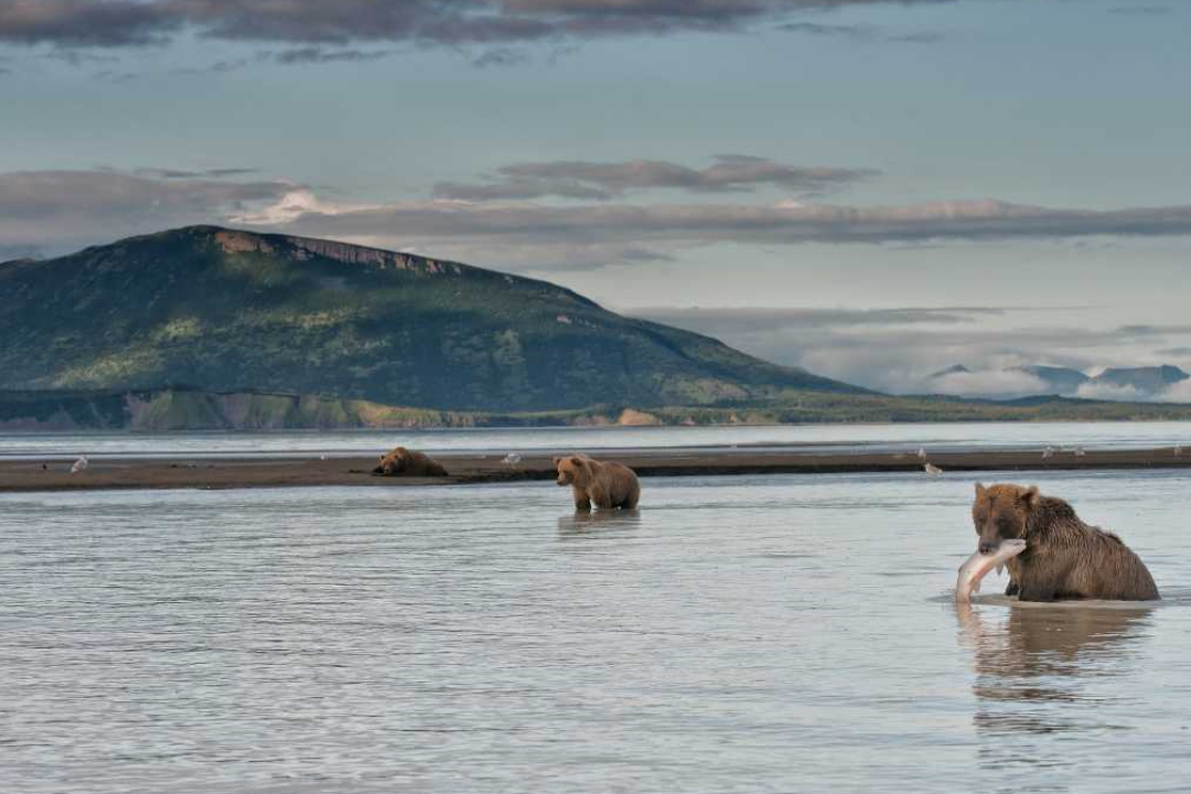 Innovative milling operations at Brighton Mills